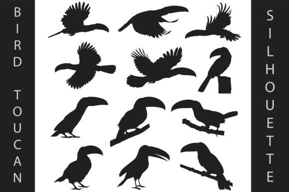 Animal Bird Toucan Silhouettes Set: Versatile Design Assets