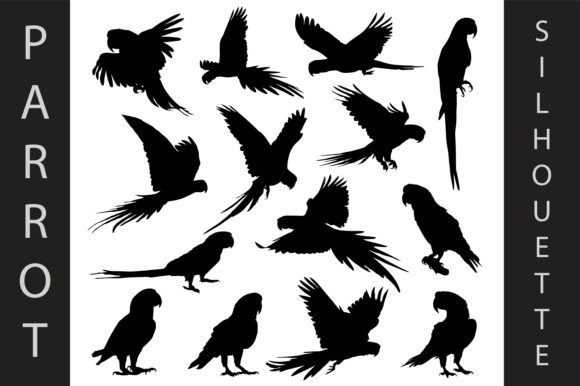 Animal Parrot Silhouettes: Versatile Design Assets