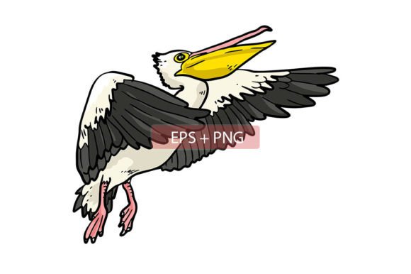 Bring Your Projects to Life with Pelican Bird Illustrations