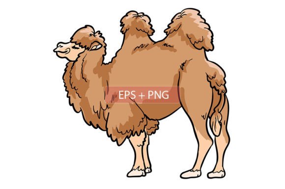 Camel Mammals Animal Illustration: A Designer's Resource for Versatile Projects