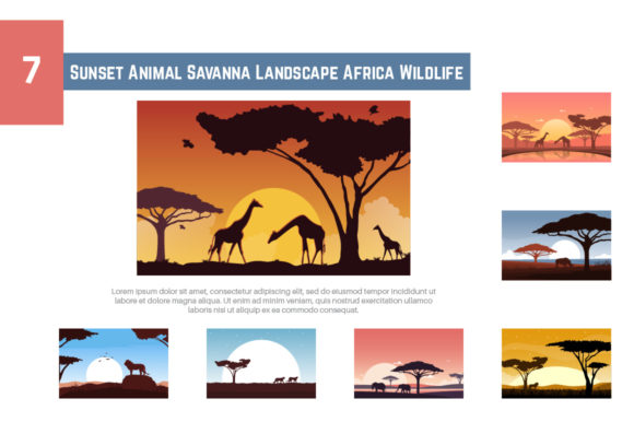 Capturing the African Dusk: A Designer's Guide to This Savanna Collection