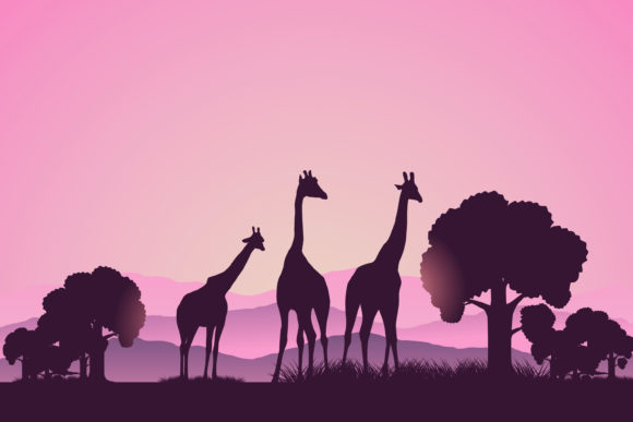 Capturing the Wild: Designing with Giraffe on Safari