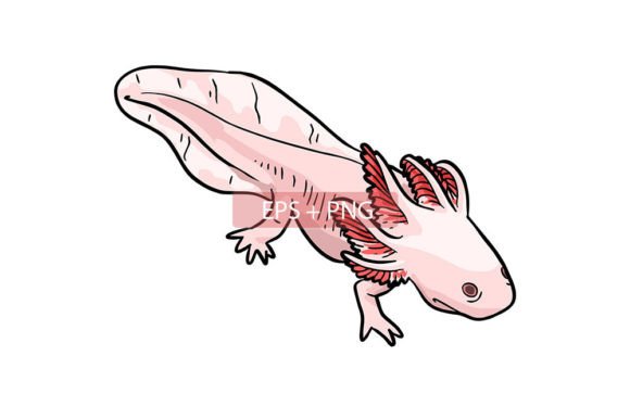 Charming Axolotl Water Animal Illustration for Creative Projects