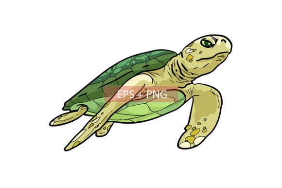 Charming Turtle Sea Animal Illustration for Creative Projects
