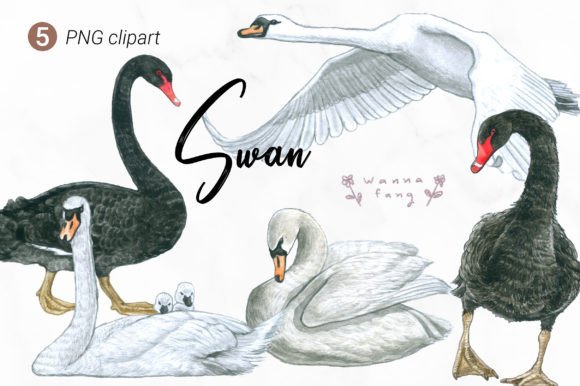 Elegant Swan Watercolor Animal Clipart for Creative Projects