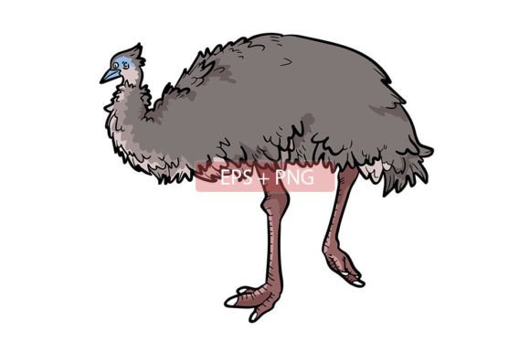 Emu Bird Illustration: A Versatile Design Asset