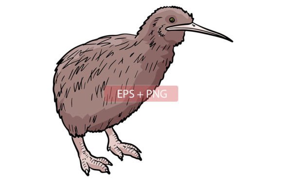Kiwi Bird Animal Illustration: A Designer's Guide