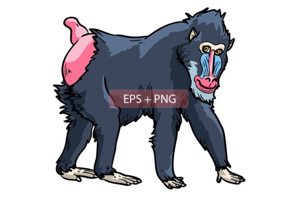 Mandrill Monkey Ape Animal Illustration: A Bold Graphic Asset