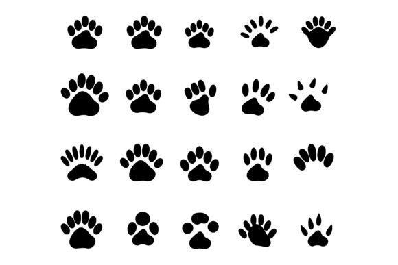 Mastering the Silhouette Animal Claw Design Asset