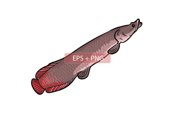 Mastering Visual Impact: The Arapaima Fish Animal Illustration for Modern Design