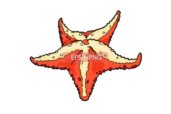 Starfish Sea Water Animal Illustration: A Designer's Go-To Asset