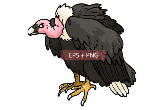 Vulture Bird Animal Illustration: A Design Asset for Every Creator