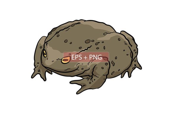 Why Toad Frog Animal Illustrations Are a Designer’s Secret Weapon